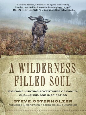 cover image of A Wilderness Filled Soul